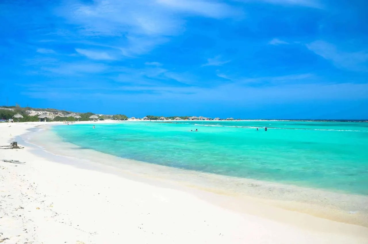 Safir Suite Palm Beach 0*,  Aruba